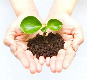 02/08 「腸と発酵」コラボ企画 第三弾!!